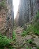 Slattdalskrevan - steine Granitschlucht im schwedischen Nationalpark Skuleskogen